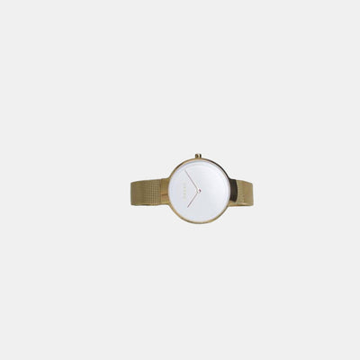 Birk Women Quartz White Dial Analog Stainless Steel Watch V231LXGIMG