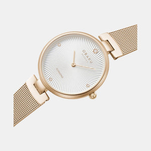 Diamant Rose Women Quartz Silver Dial Analog Stainless Steel Watch V256LXVIMV-DD