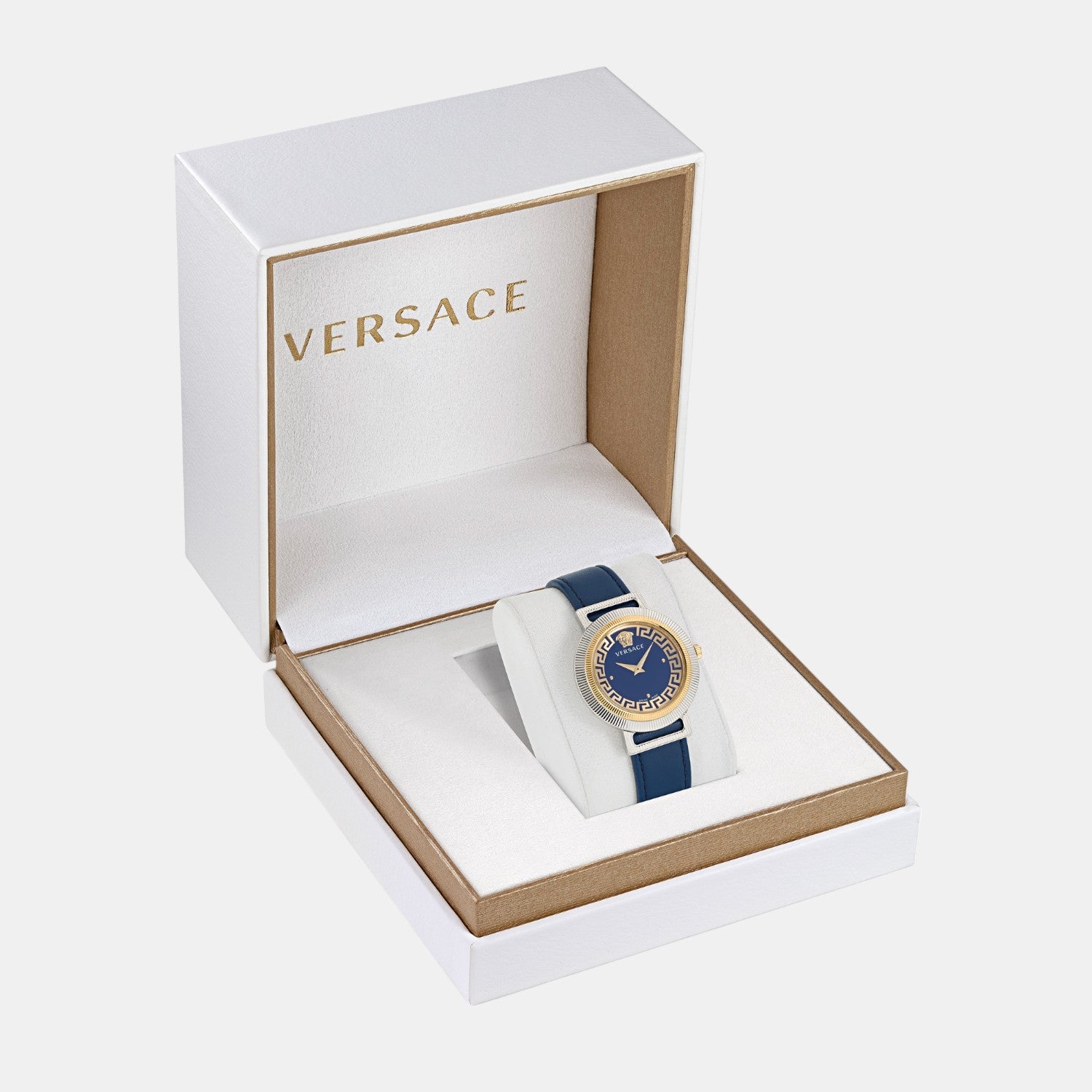 Greca Chic Women Quartz Blue Dial Analog Leather Watch VE3D00122