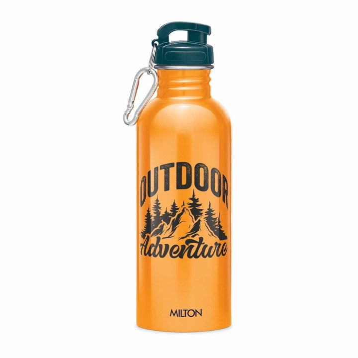 Virtue Stainless Steel Bottle (Milton)