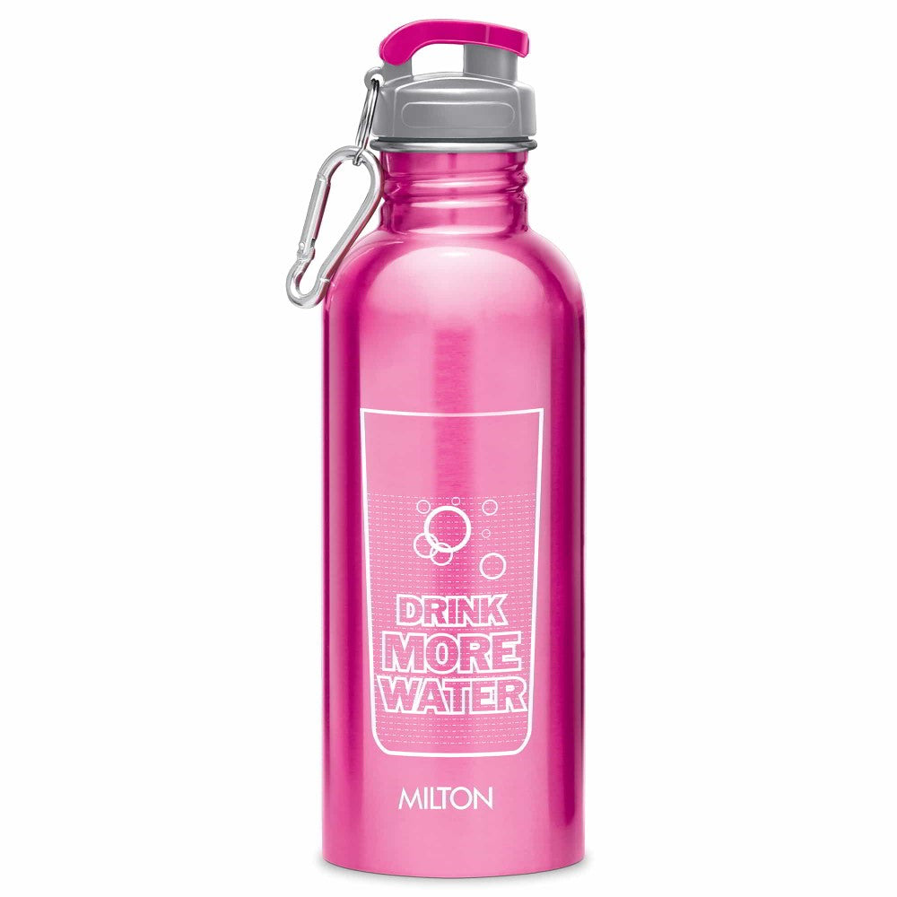 Virtue Stainless Steel Bottle (Milton)