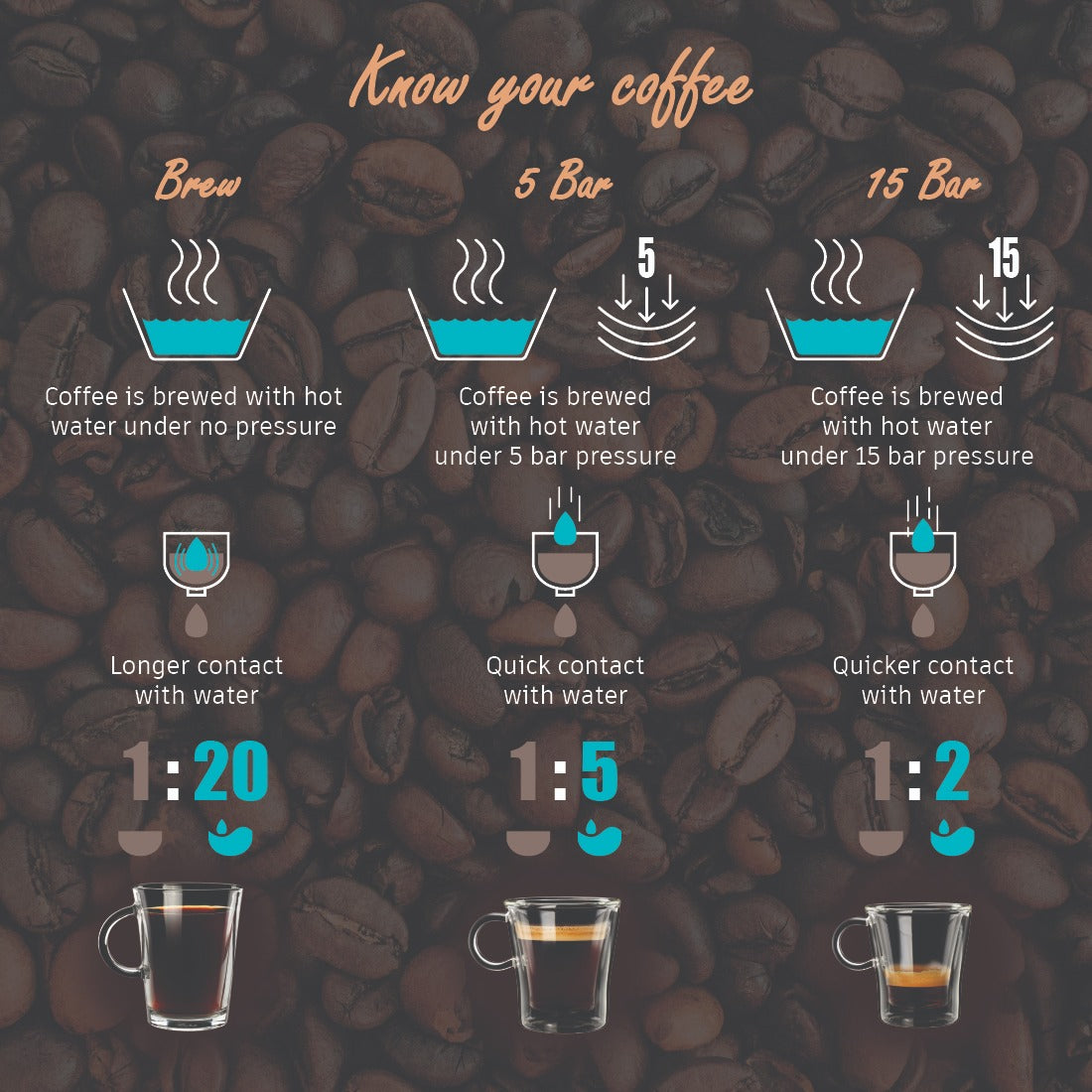 Regalia Brew Coffee Maker 550 W | Stainless Steel Body | 700ml.