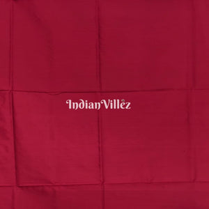 Orange maroon border Pochampally Ikat Silk Saree