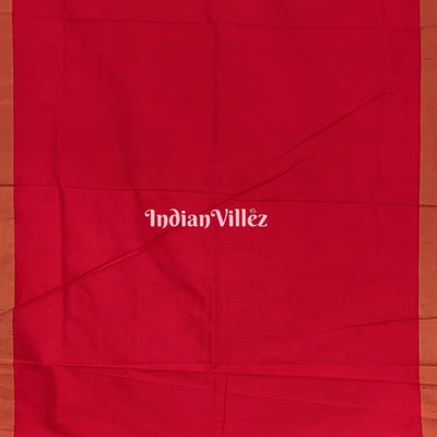 Multicoloured Design Pochampally Ikat Silk Saree with Elephant Anchal