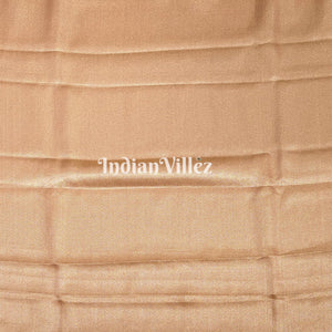 Orange Golden Dual Tone Zari Woven  Banarasi Tissue Saree