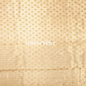 Antique Golden Zari Woven  Banarasi Tissue Saree