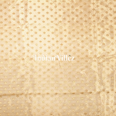 Antique Golden Zari Woven  Banarasi Tissue Saree