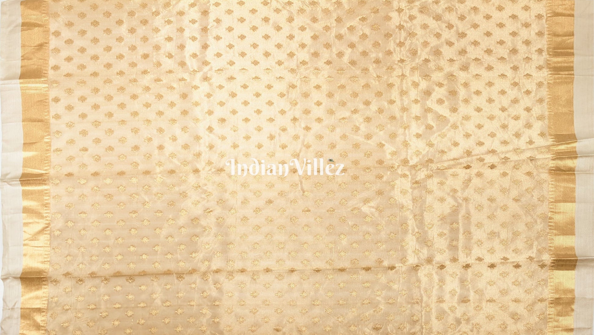 Antique Golden Zari Woven  Banarasi Tissue Saree