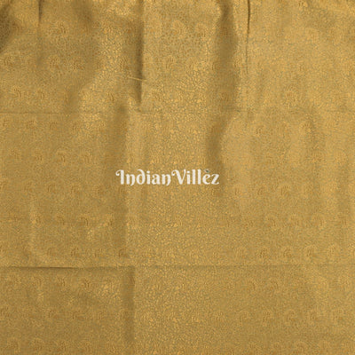 Green Dual Tone Zari Woven  Banarasi Tissue Saree