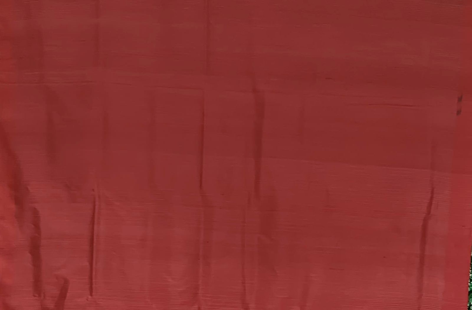 || Jhasha || Maroon Fish Motif Odisha Ikat Contemporary Silk Saree