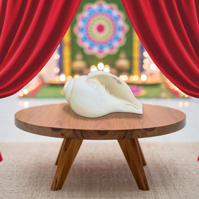 Shankh - The Devine Baynavarti or Vaamvarti Shankh - Variant 3