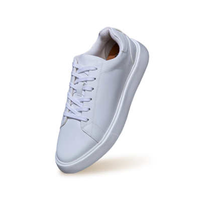 Classic Solids : White