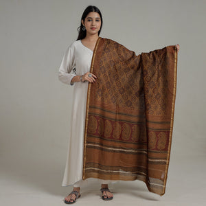 Brown - Natural Dyed Hand Block Print Chanderi Silk Bagh Dupatta 11