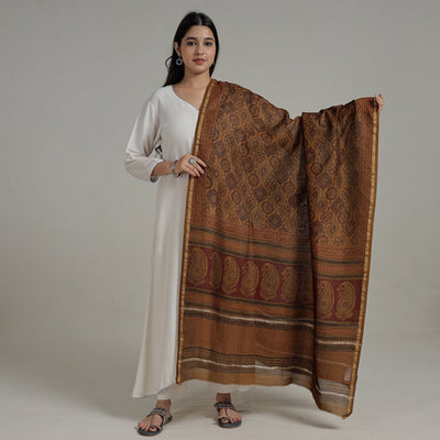 Brown - Natural Dyed Hand Block Print Chanderi Silk Bagh Dupatta 11