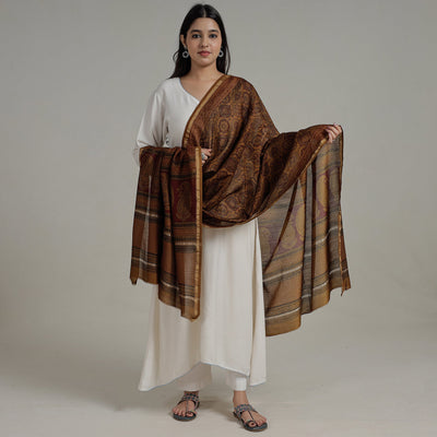 Brown - Natural Dyed Hand Block Print Chanderi Silk Bagh Dupatta 11