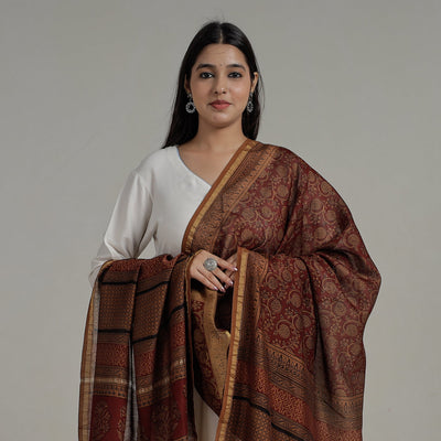 Brown - Natural Dyed Hand Block Print Chanderi Silk Bagh Dupatta 20