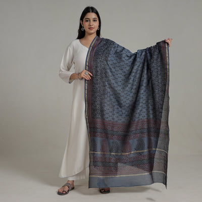 Blue - Block Printed Chanderi Silk Bagh Dupatta 35