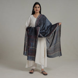 Blue - Block Printed Chanderi Silk Bagh Dupatta 35