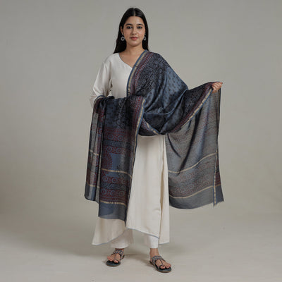 Blue - Block Printed Chanderi Silk Bagh Dupatta 35