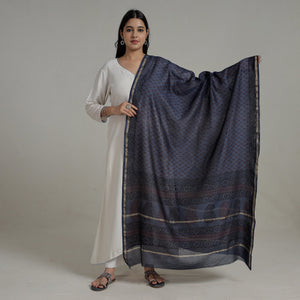 Blue - Block Printed Chanderi Silk Bagh Dupatta 37