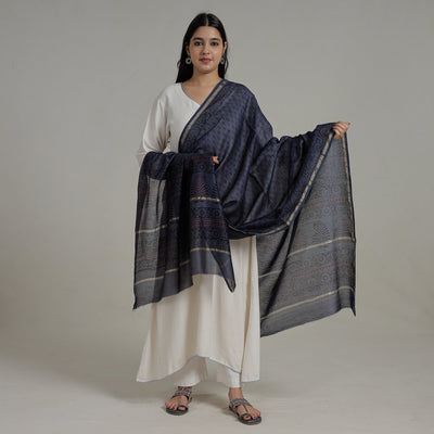 Blue - Block Printed Chanderi Silk Bagh Dupatta 37