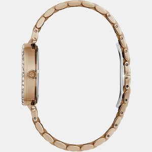 Flair Women Quartz Brown Dial Analog Stainless Steel Watch Z01009L4MF