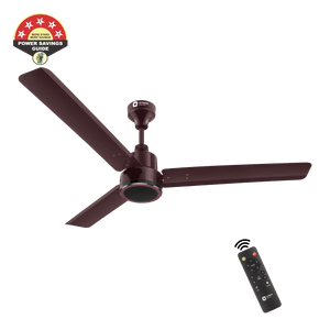 1200mm Ecotech Prime BLDC 5 Star Rated Ceiling Fan With Remote