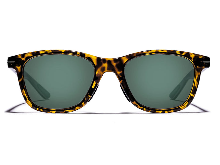 Zilker Sunglasses Outlet