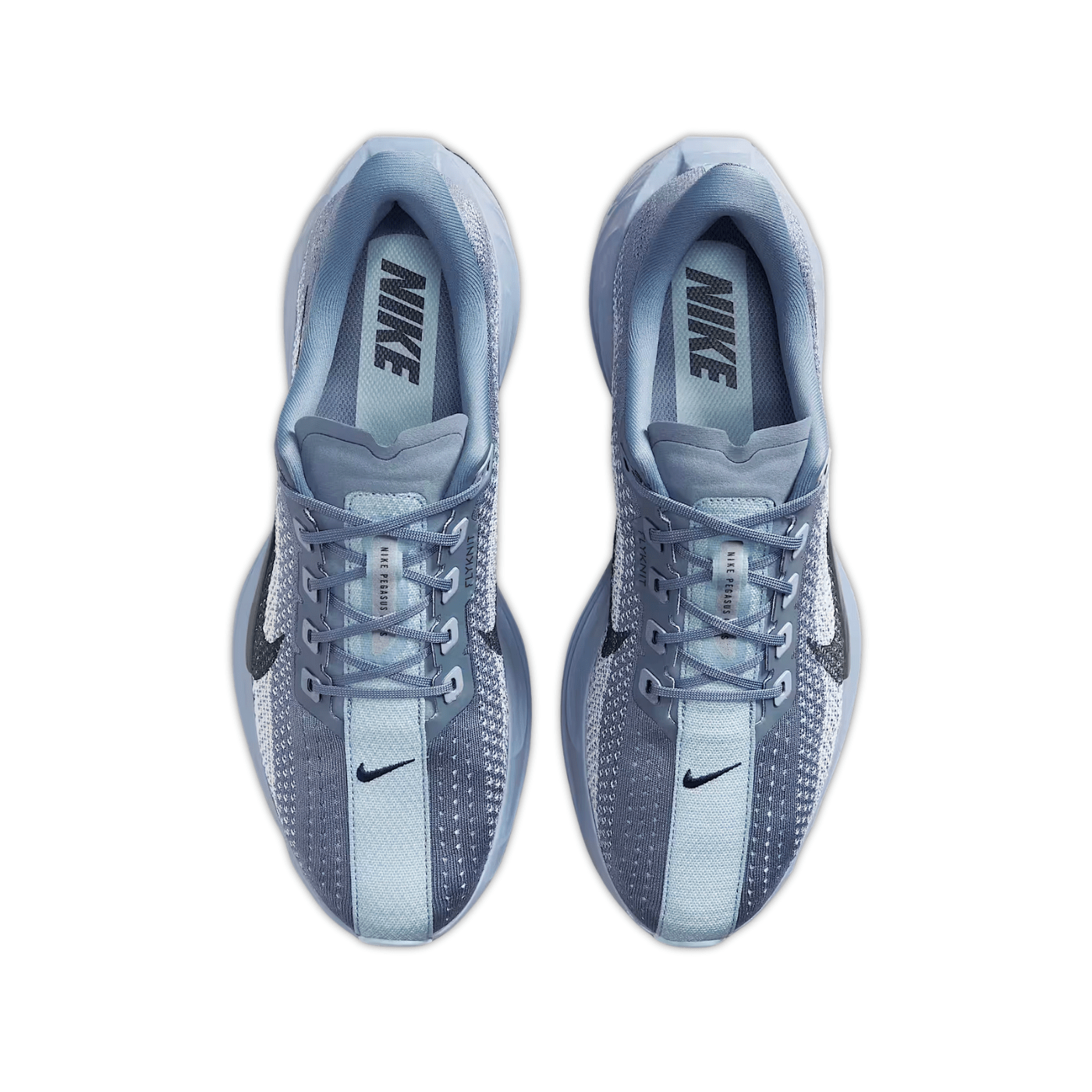 Nike ZoomX Pegasus Plus Ashen Slate White Pure Platinum Anthracite