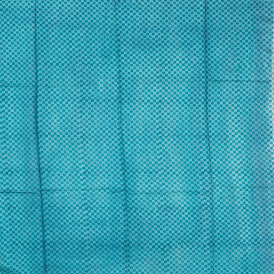Light Blue Handloom Tussar Silk Saree Printed With Checks & Floral Motifs