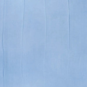 Light Blue Handwoven Banarasi Georgette Silk Saree Printed With Floral Motifs