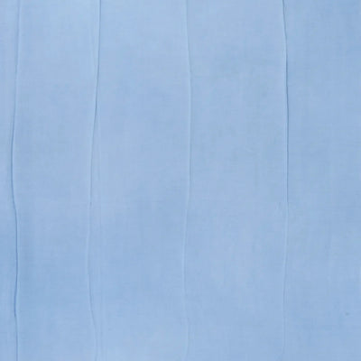 Light Blue Handwoven Banarasi Georgette Silk Saree Printed With Floral Motifs