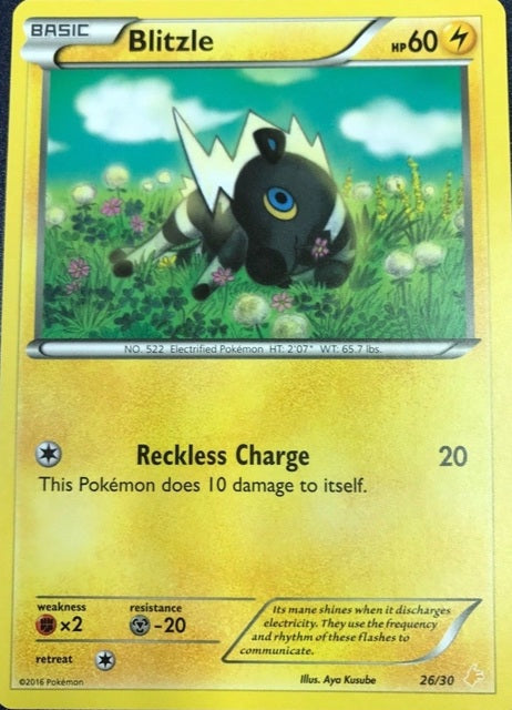Blitzle - 26/30 - [XY Trainer Kit: Pikachu Libre & Suicune (Pikachu Libre)] [Non-Holo]
