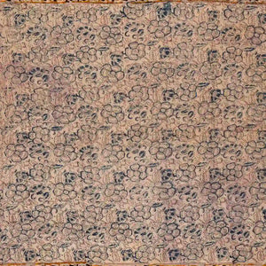 Crimson Woven Kalamkari Cotton Saree With Printed Floral Motifs