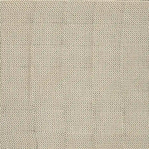 Cream Woven Jaipur Cotton Saree Printed With Black Floral Motifs