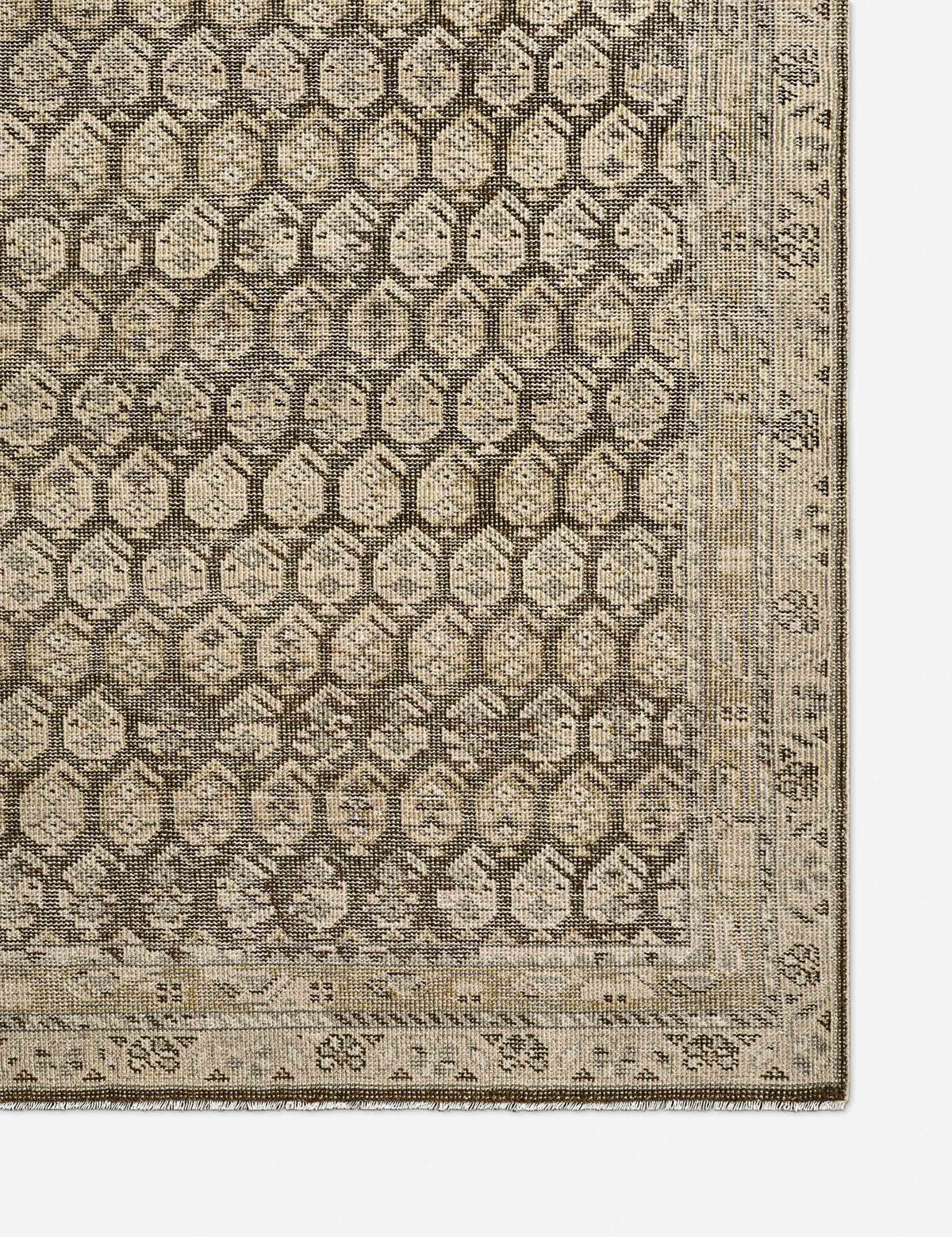 Briella Hand-Knotted Wool Rug
