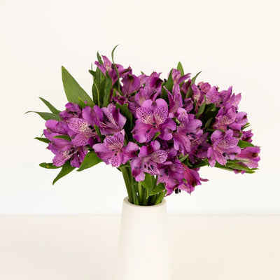 Mystic Violet Alstroemeria Flower