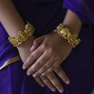 Aasmani Fiza