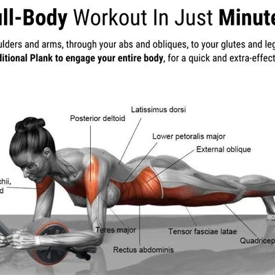 Abs Roller Wheel for Core Training | 1 Year Warranty