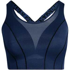adidas Ivy Park Halls of Ivy High Support Bra (Plus Size) Dark Blue
