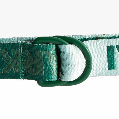 adidas Ivy Park Logo Belt Dark Green/Green