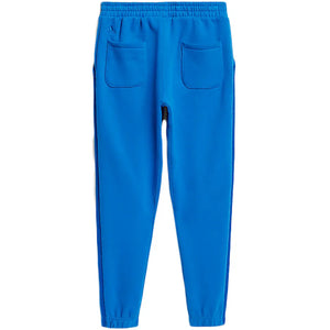 adidas Ivy Park Sweat Pants (Kids) Glory Blue