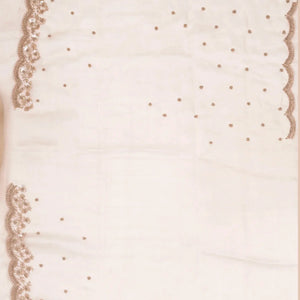 Taupe Woven Banarasi Glass Tissue Saree Embroidered With Floral Motifs