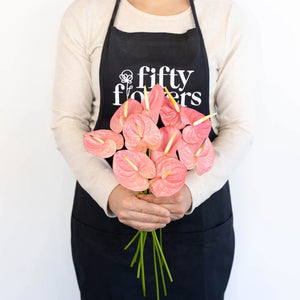 Anthurium Bubblegum Pink Tropical Flower