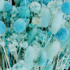Aqua Blue Dried Flower Pack
