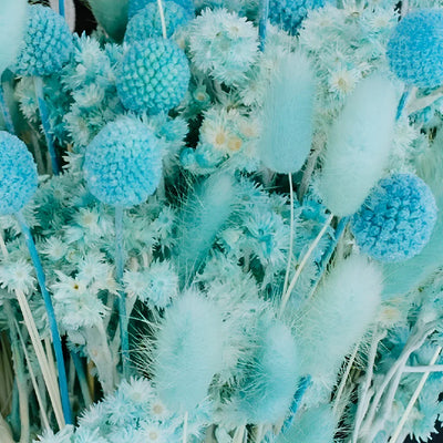 Aqua Blue Dried Flower Pack