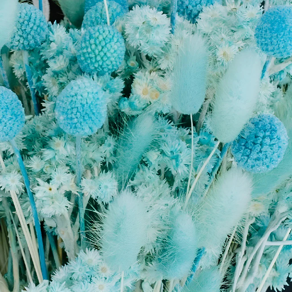 Aqua Blue Dried Flower Pack