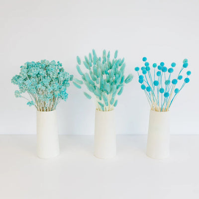 Aqua Blue Dried Flower Pack