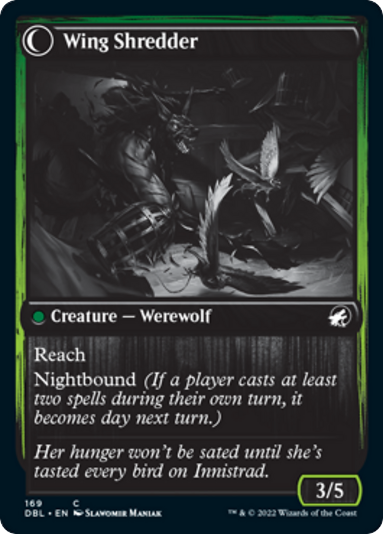 Bird Admirer // Wing Shredder [169] [Innistrad: Double Feature] [Non-Foil]