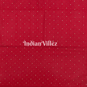 Red Color Bull Motif Banarasi  Khaddi Georgette Shikargah Saree